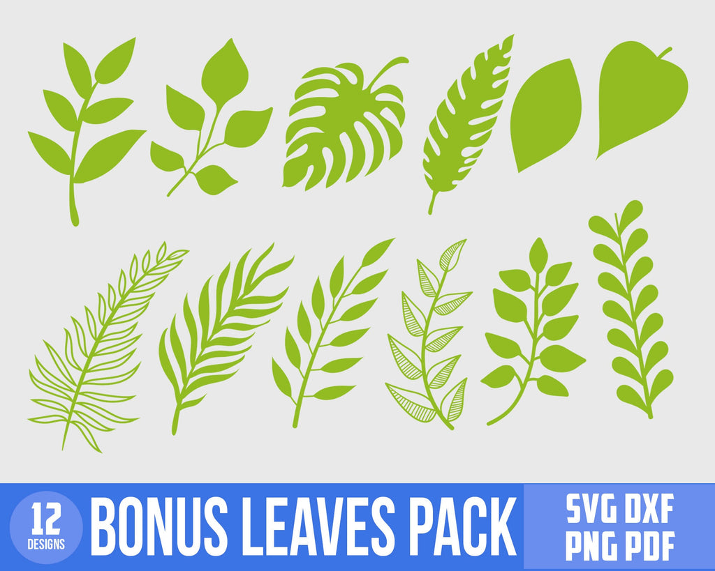 Rolled flower SVG, 3d flower SVG, Rolled Flower SVG, Paper Flower Svg, Digital Download, Digital Paper Svg, Pdf, Jpg 300 dpi Gifts