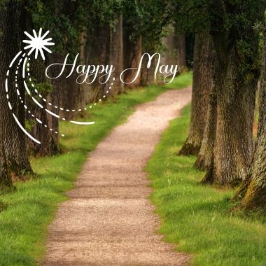 The Ultimate 50 Fonts – Font Bundle ttf svg Heart font, Cricut, Canva Font, Script Font, Digital Fonts, Procreate Fonts, Crafting font